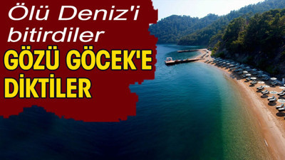 Ölü Deniz'i bitirdiler gözü Göcek'e diktiler