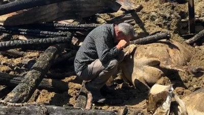 Köylü tüm birikimini bir gecede kaybetti. Gözyaşları yürek parçaladı.