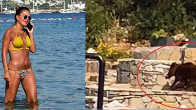 Sosyetik plajda domuz paniği! Ünlü sunucu karşısında domuzu görünce şoke oldu