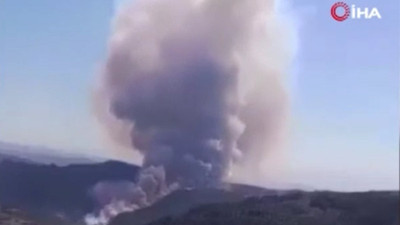 Bursa Yenişehir'de orman yangını
