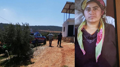 Bir haftadır aranıyordu zeytinlikte ölü bulundu