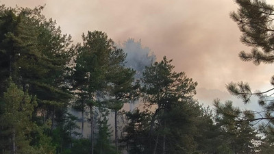 Muğla Valiliği'nden 'orman yangını' uyarısı