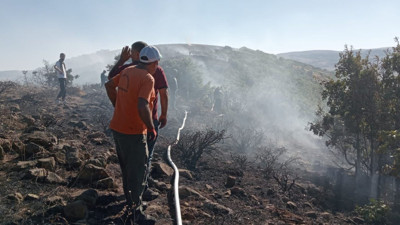 Bingöl’deki orman yangını kontrol altına alındı (23 Ağustos 2023)
