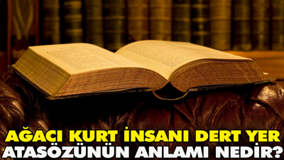 Ağacı kurt insanı dert yer atasözünün anlamı nedir?