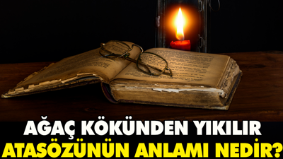 Ağaç kökünden yıkılır atasözünün anlamı nedir?