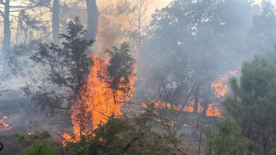 Eskişehir'de orman yangını sebebiyle gözaltına alınan şahıs serbest bırakıldı