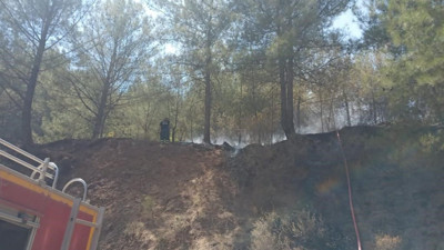 Hatay’da orman yangını büyümeden söndürüldü