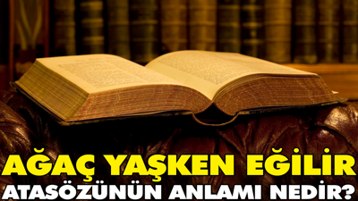 Ağaç yaşken eğilir atasözünün anlamı nedir?