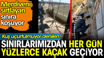 Sınırlarımızdan her gün yüzlerce kaçak geçiyor. Merdiveni sırtlayan Suriyeliler sınıra koşuyor