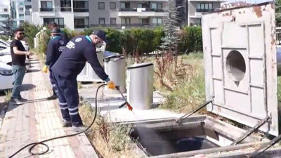 Profesör koronadan daha tehlikeli salgını açıkladı: 60 yıllık bir pandemi, Covid’de daha şanslıydık