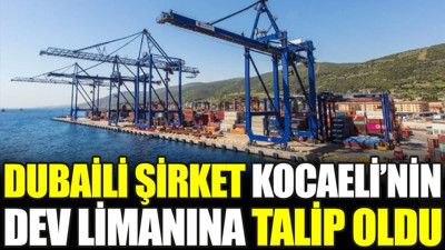 Dubaili şirket Kocaeli’nin dev limanına talip oldu