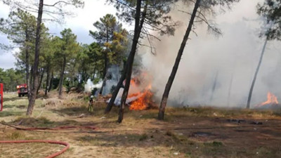 Arnavutköy'de ormanlık alanda çıkan yangın söndürüldü