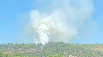 Muğla'da orman yangını: 1 hektar alan zarar gördü
