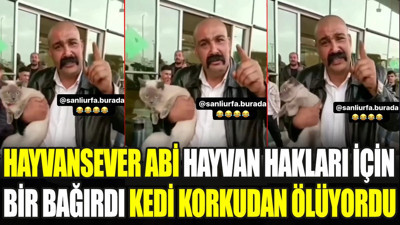 Hayvansever abi hayvan hakları için bir bağırdı kedi korkudan ölüyordu