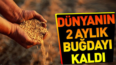 Dünya'nın 2 aylık buğdayı kaldı