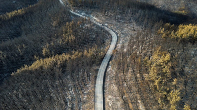 Yunanistan'daki orman yangınları 14. gününde de devam ediyor