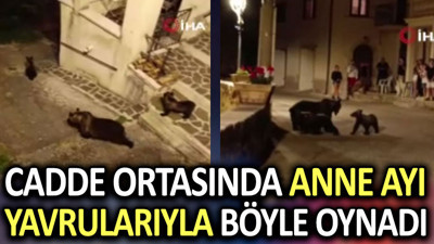 Cadde ortasında anne ayı yavrularıyla böyle oynadı