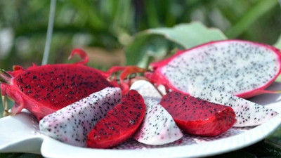 Ejder meyvesi faydaları neler? Ejder meyvesi neye iyi gelir?