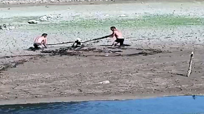 Bataklığa saplanan köpeği böyle kurtardılar. Bu 'İyi insanlar iyi ki varlar' haberidir