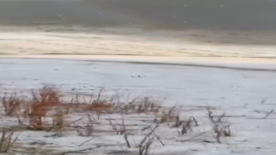 Arpaçay’ı dolu vurdu, çok sayıda kuş telef oldu