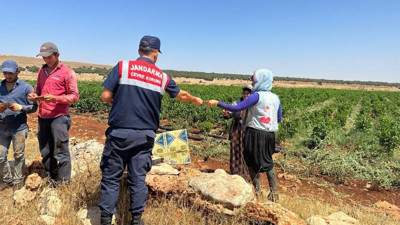 Jandarma'dan anız yangınına karşı broşürlü önlem