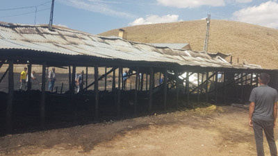 Bingöl'de bir ahırda çıkan yangında 22 hayvan telef oldu