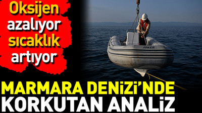 Marmara Denizi’nde korkutan analiz. Oksijen azalıyor sıcaklık artıyor