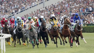 Aydın Doğan at yarışlarına giriyor