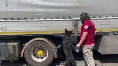 İçişleri Bakanı Ali Yerlikaya açıkladı. Zehir tacirlerine darbe vuruldu