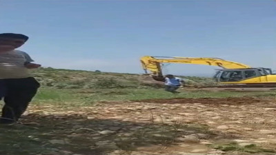 Depremzedelere yapılacak konutlar için zeytin ağaçları dalındaki mahsulle birlikte kesildi