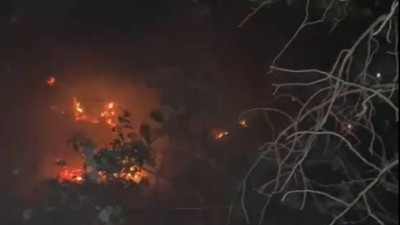 Muğla’da orman yangını (08 Eylül 2023)