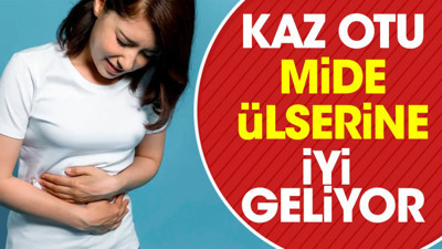Mide ülserine iyi gelen mucize otun faydaları