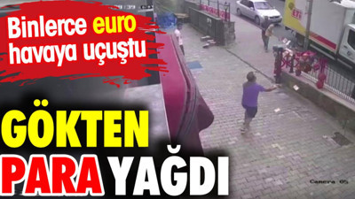 Gökten para yağdı. Binlerce euro havaya uçuştu