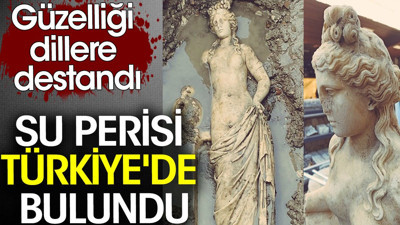 Su perisi Türkiye'de bulundu. Güzelliği dillere destandı