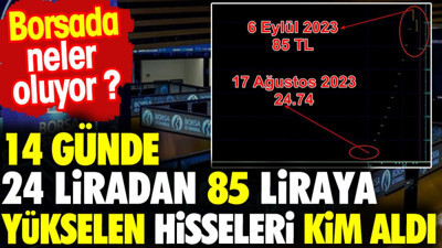 14 günde 24 liradan 85 liraya yükselen hisseleri kim aldı?