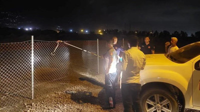 Hatay'da boynuzlu engerek yılanı görüldü. Nesli tehlike altında