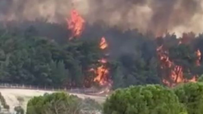 İzmir’deki orman yangını kontrol altında