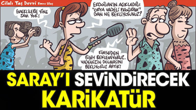 Saray'ı sevindirecek karikatür. Emre Ulaş çizdi