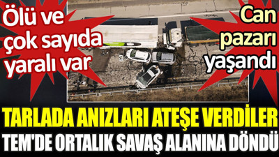 Tarlada anızları ateşe verdiler TEM'de ortalık savaş alanına döndü: Çok sayıda ölü ve yaralı var