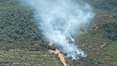 İzmir Foça'da orman yangını