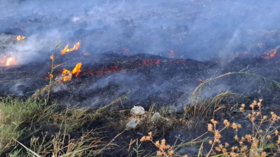 Van Gölü sahilinde korkutan yangın