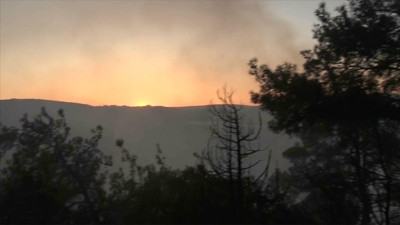Bilecik'te orman yangını. Aynı bölgede 5 gün önce de yangın çıkmıştı