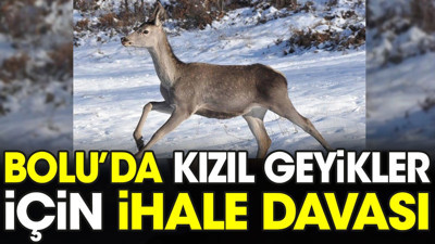 Bolu'da kızıl geyikler için ihale iptal davası