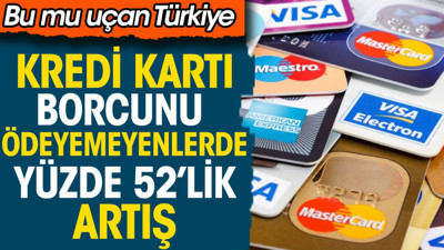 Kredi kartı borcunu ödeyemeyenlerde yüzde 52 artış. Bu mu uçan Türkiye