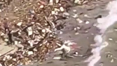 Libya’da denizden ceset fışkırdı. Sel binaları dahi denize döktü