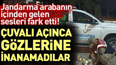 Jandarma arabanın içinden gelen sesleri fark etti! Çuvalı açınca gözlerine inanamadılar