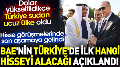 BAE'nin Türkiye'de ilk hangi hisseyi alacağı açıklandı. Dolar yükseltildikçe Türkiye sudan ucuz ülke oldu