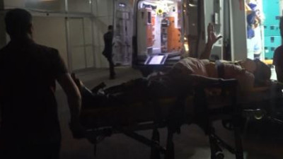 Armut ağacı hastanelik etti