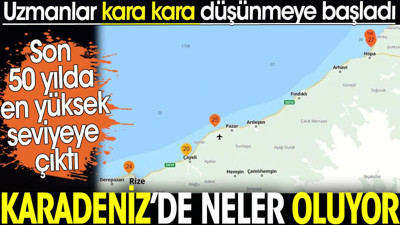 Karadeniz’de neler oluyor? Son 50 yılda en yüksek seviyeye çıktı