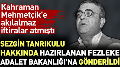 Mehmetçik'e iftira atan Sezgin Tanrıkulu hakkında hazırlanan fezleke Adalet Bakanlığı'na gönderildi